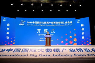 2019中國國際大數(shù)據(jù)產業(yè)博覽會銅仁分會場開幕 共繪“智慧銅仁”新藍圖