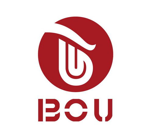 BOU商標在第16類（辦公用品）的注冊狀態(tài)查詢指南與信息解析